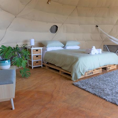 1 Waipu Off-Grid Eco Seaview Geodesic Glamping Dome Hotel Luaran gambar