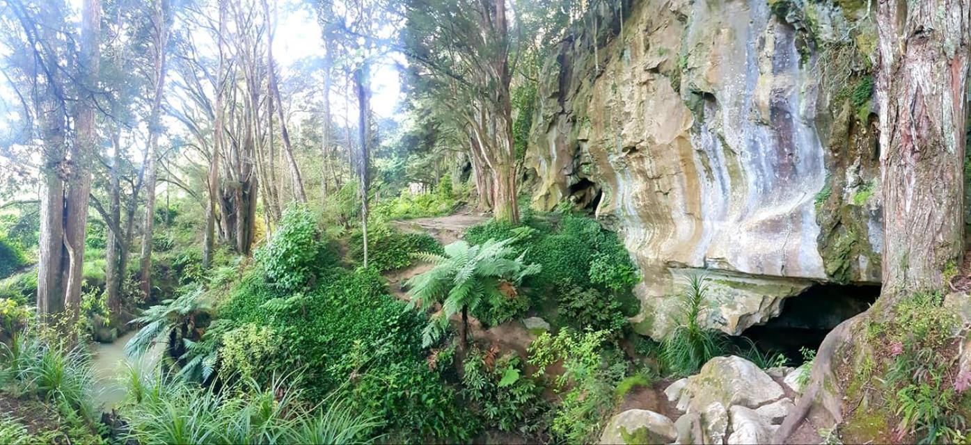 1 Waipu Off-Grid Eco Seaview Geodesic Glamping Dome Hotel Luaran gambar